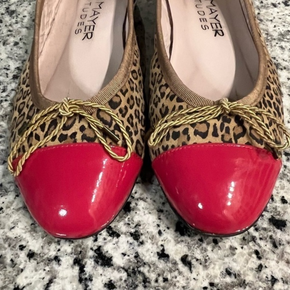 Paul Mayer Attitudes Ballet Flats